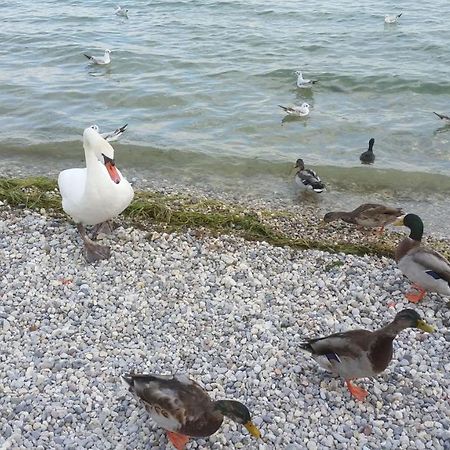Antico Convento Apartment Moniga del Garda Екстериор снимка